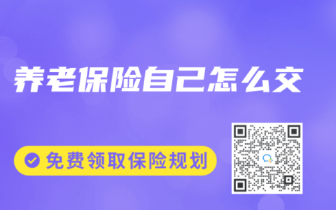 养老保险自己怎么交