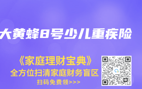 大黄蜂8号少儿重疾险