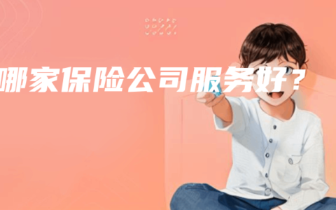 哪家保险公司服务好？