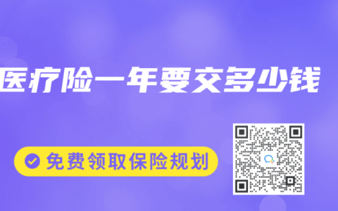 医疗险一年要交多少钱
