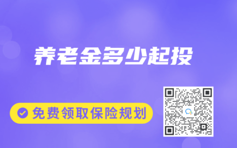 养老金多少起投