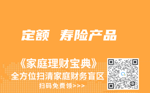 定额 寿险产品
