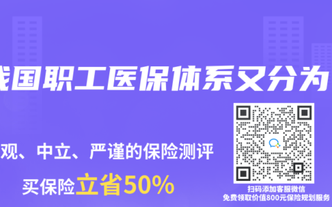 我国职工医保体系又分为