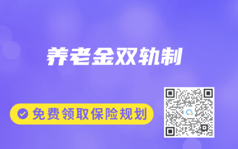 养老金双轨制