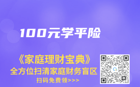 100元学平险