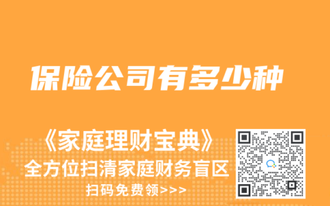 保险公司有多少种