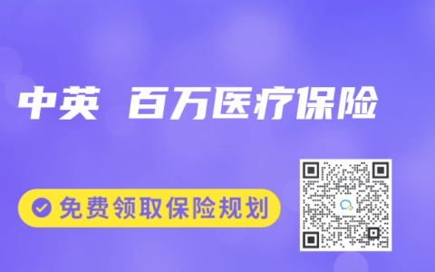 中英 百万医疗保险