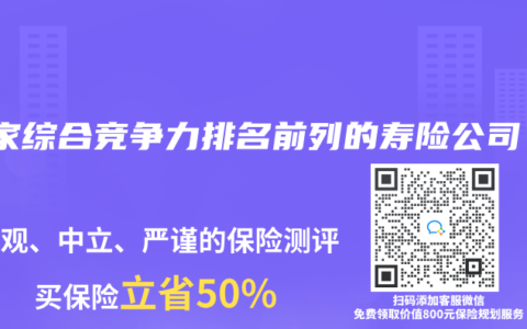 13家综合竞争力排名前列的寿险公司