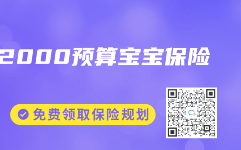 2000预算宝宝保险