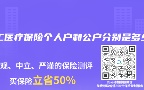 职工医疗保险个人户和公户分别是多少