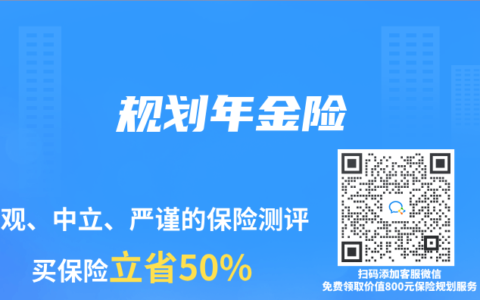 规划年金险