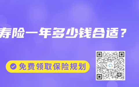 寿险一年多少钱合适？