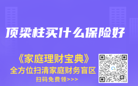 顶梁柱买什么保险好