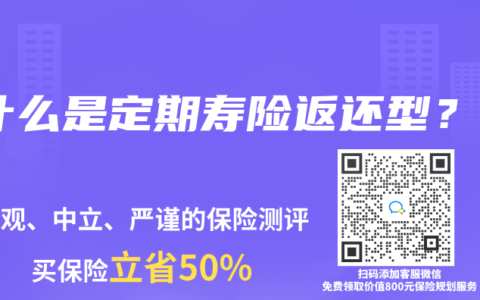 什么是定期寿险返还型？