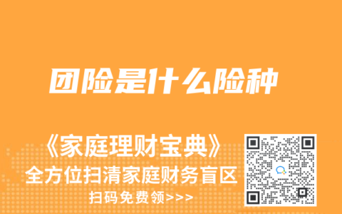 团险是什么险种