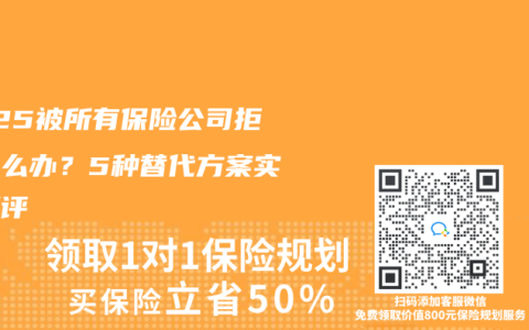 2025被所有保险公司拒保怎么办？5种替代方案实测测评