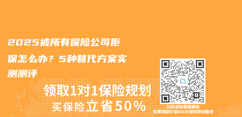 2025被所有保险公司拒保怎么办？5种替代方案实测测评插图