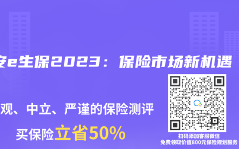 平安e生保2023：保险市场新机遇