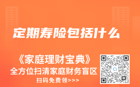 定期寿险包括什么