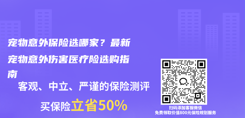 宠物意外保险选哪家？最新宠物意外伤害医疗险选购指南插图1