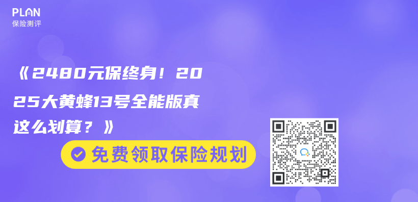《2480元保终身！2025大黄蜂13号全能版真这么划算？》插图