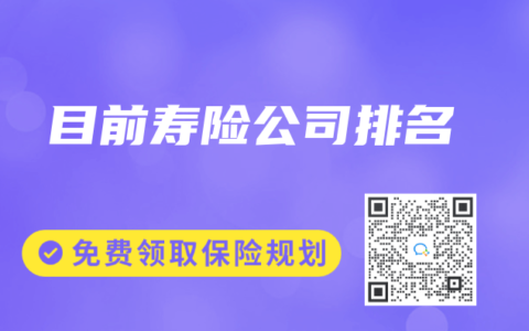 目前寿险公司排名