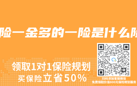 六险一金多的一险是什么险