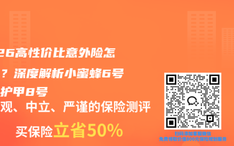 2026高性价比意外险怎么选？深度解析小蜜蜂6号与大护甲8号