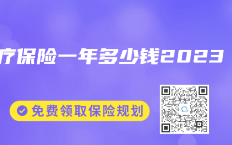 医疗保险一年多少钱2023