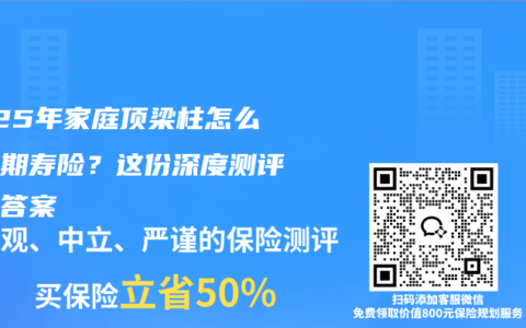 2025年家庭顶梁柱怎么选定期寿险？这份深度测评给你答案