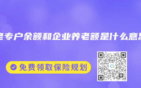 养老专户余额和企业养老额是什么意思