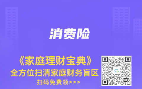 消费险