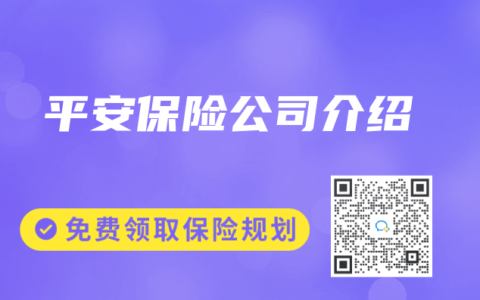平安保险公司介绍