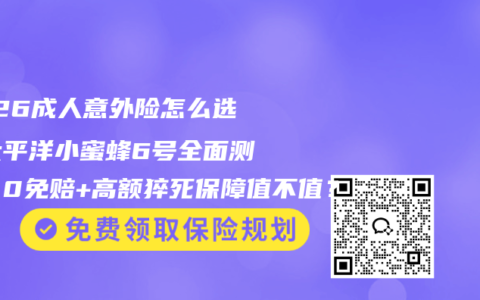 2026成人意外险怎么选？太平洋小蜜蜂6号全面测评，0免赔+高额猝死保障值不值？