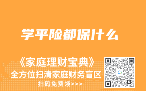 学平险都保什么
