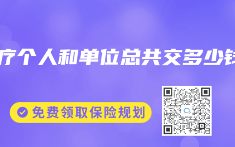 医疗个人和单位总共交多少钱