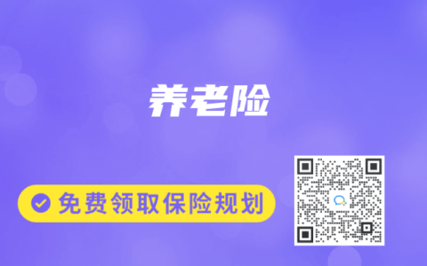 养老险