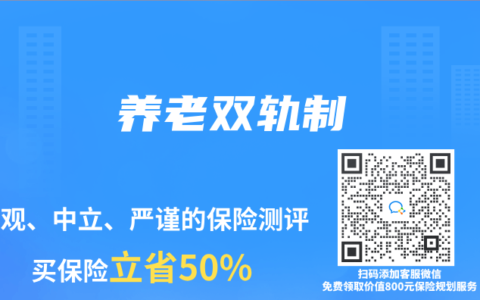 养老双轨制