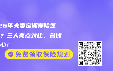 2026年夫妻定期寿险怎么选？三大亮点对比，省钱又省心！