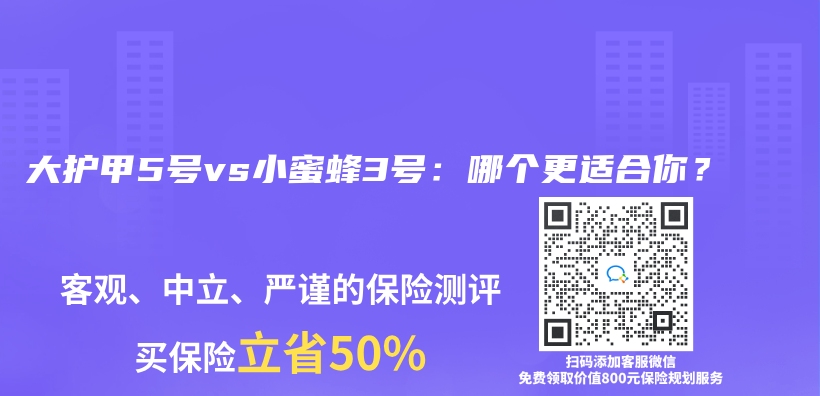 大护甲5号vs小蜜蜂3号：哪个更适合你？插图