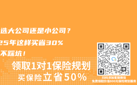 保险选大公司还是小公司？2025年这样买省30%保费不踩坑！