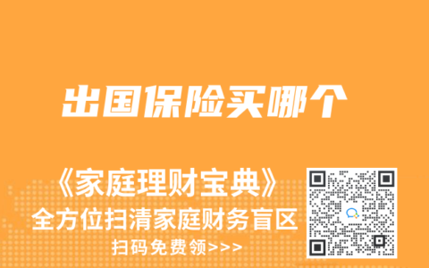 出国保险买哪个
