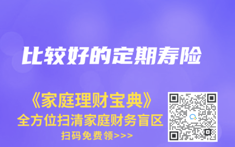 比较好的定期寿险