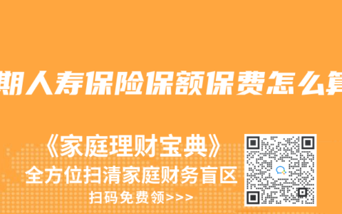 定期人寿保险保额保费怎么算