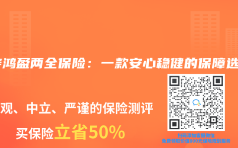 国寿鸿盈两全保险：一款安心稳健的保障选择
