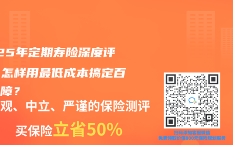 2025年定期寿险深度评测：怎样用最低成本搞定百万保障？