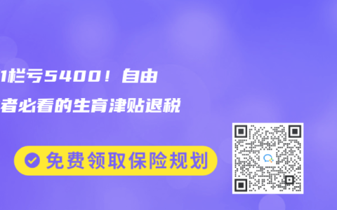 少填1栏亏5400！自由职业者必看的生育津贴退税指南