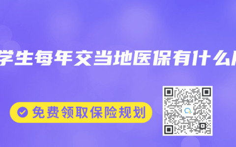 大学生每年交当地医保有什么用