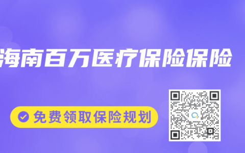 海南百万医疗保险保险