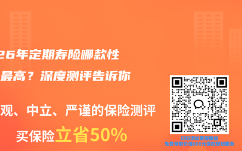 2026年定期寿险哪款性价比最高？深度测评告诉你答案